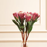 Princess Protea Flower